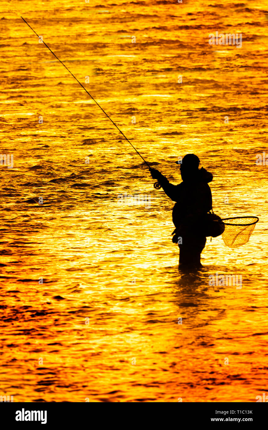 Silhouette della pesca a mosca rod reel in fiume con la luce del sole dorato che lo circonda la mattina presto fisherman Foto Stock