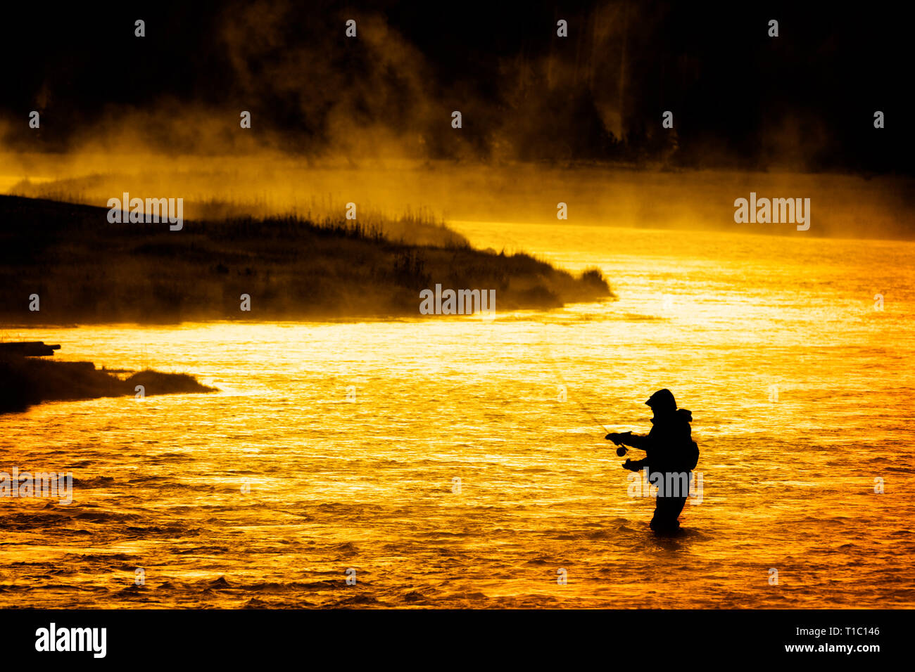 Silhouette della pesca a mosca asta aspo nel fiume dorato con la luce del sole di mattina presto fisherman Yellowstone River Foto Stock
