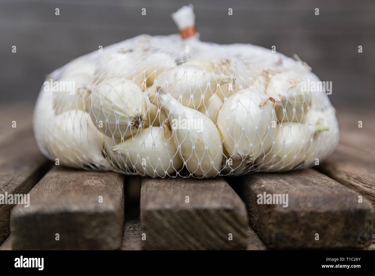 Agricoltura,coltivazione, agricoltura e verdure concetto: cipolla bianca piccola in una pezza di rete di plastica Sacchi,preparati per la semina su un tavolo di legno. Foto Stock