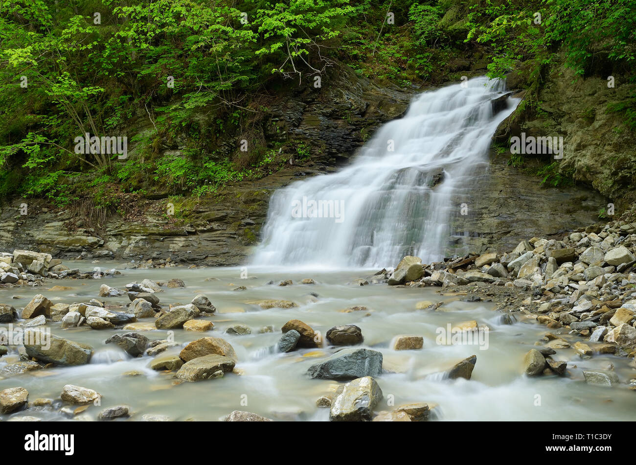 La molla del paesaggio con fiume. Bella cascata in montagna Foto Stock