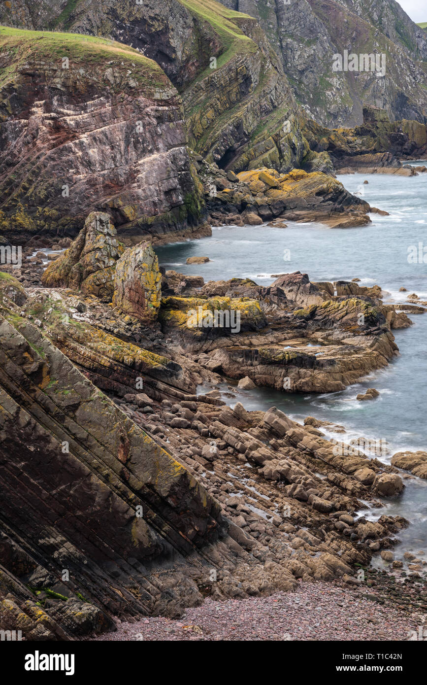St Abbs Head / Pettico stoppino, Berwickshire, Scozia Foto Stock