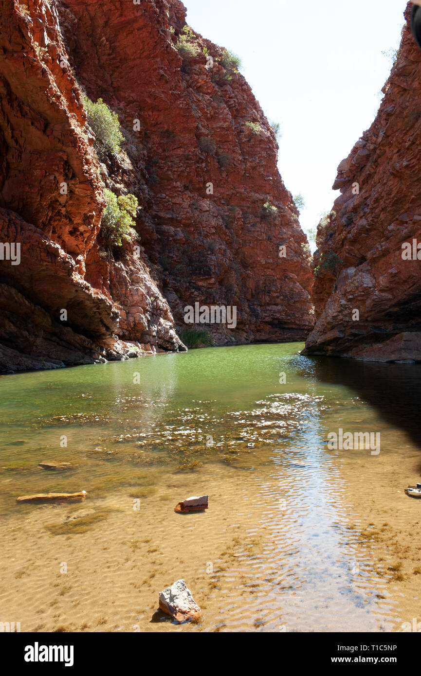 Delle acque verde smeraldo del Simpsons Gap, Territorio del Nord, l'Australia Foto Stock