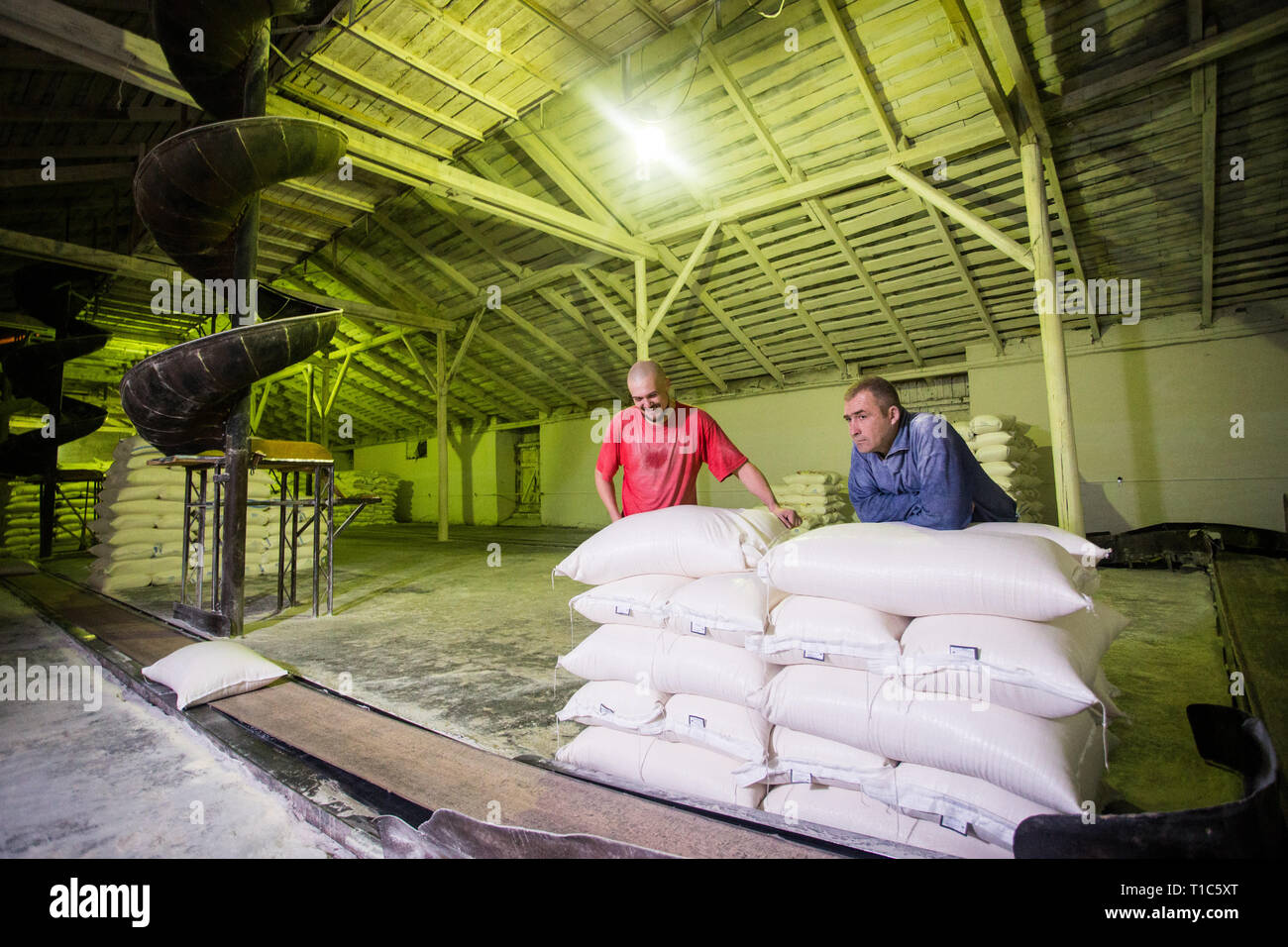 14 ottobre 2014.Ucraina.kiev.lavoratori dell'azienda. Due giovani uomini caucasici lavorare come caricatori ad una vecchia fabbrica. Carico di sacchi su un nastro di spedizione Foto Stock