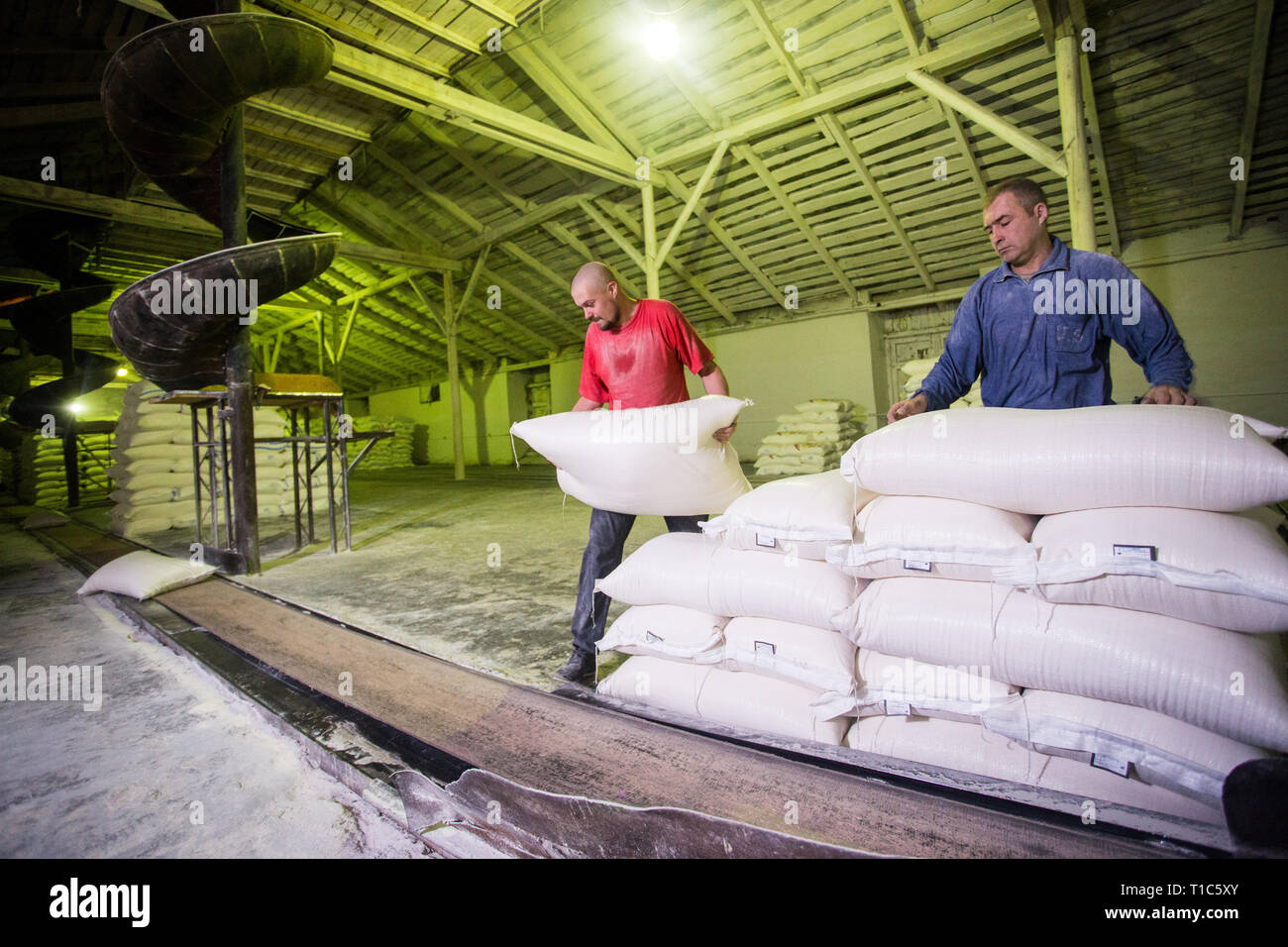 14 ottobre 2014.Ucraina.kiev.lavoratori dell'azienda. Due giovani uomini caucasici lavorare come caricatori ad una vecchia fabbrica. Carico di sacchi su un nastro di spedizione Foto Stock