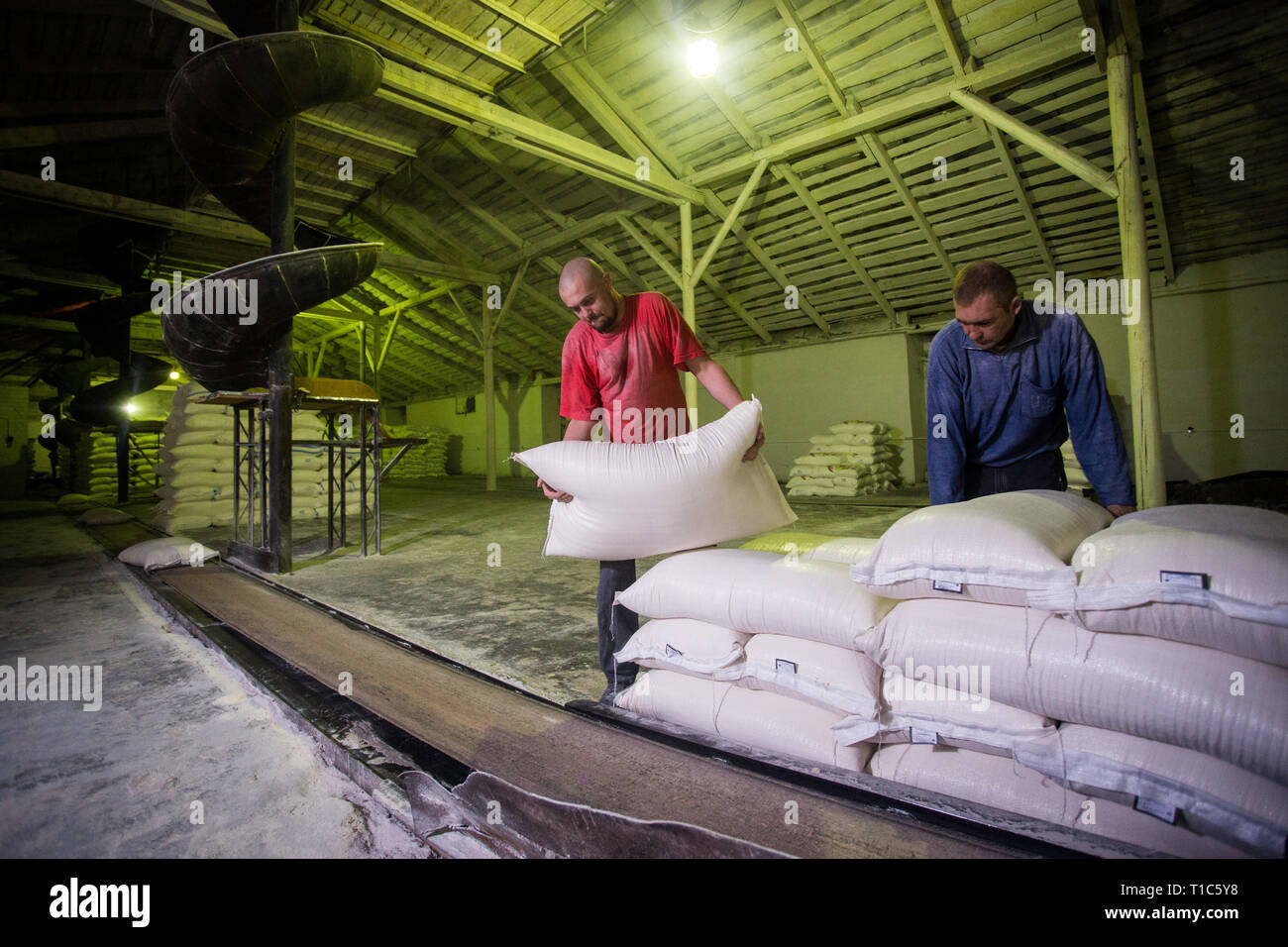 14 ottobre 2014.Ucraina.kiev.lavoratori dell'azienda. Due giovani uomini caucasici lavorare come caricatori ad una vecchia fabbrica. Carico di sacchi su un nastro di spedizione Foto Stock