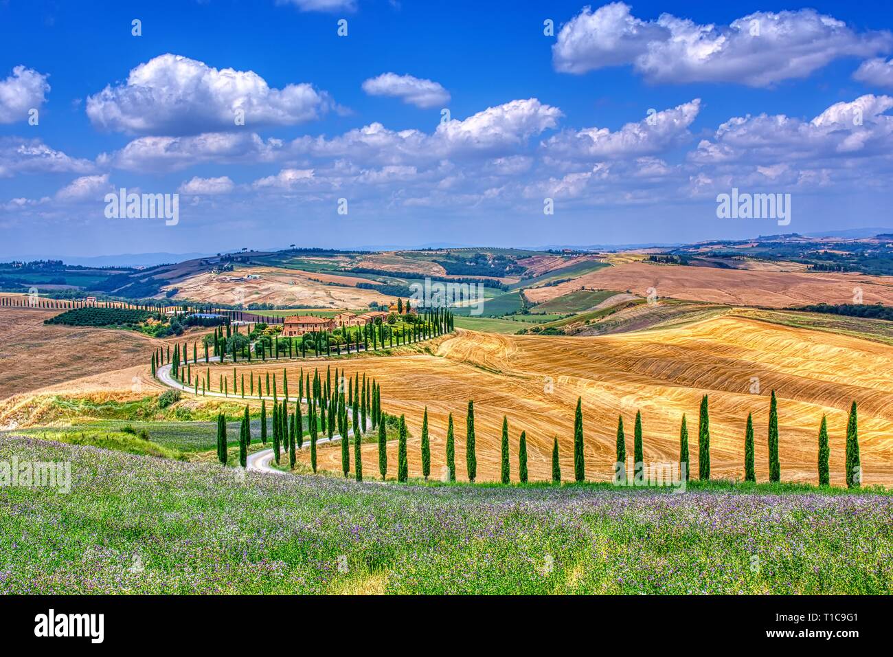 Toscana, Italia - Luglio 5, 2018: cipressi e prato con tipica casa toscana, Val d'Orcia, Italia - Toscana Foto Stock