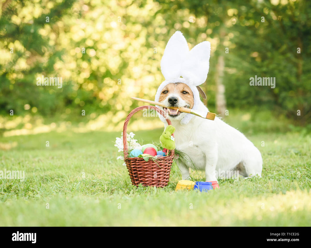 Divertente cane con orecchie di coniglietto realizzata cesto regalo con i tradizionali simboli pasquali Foto Stock