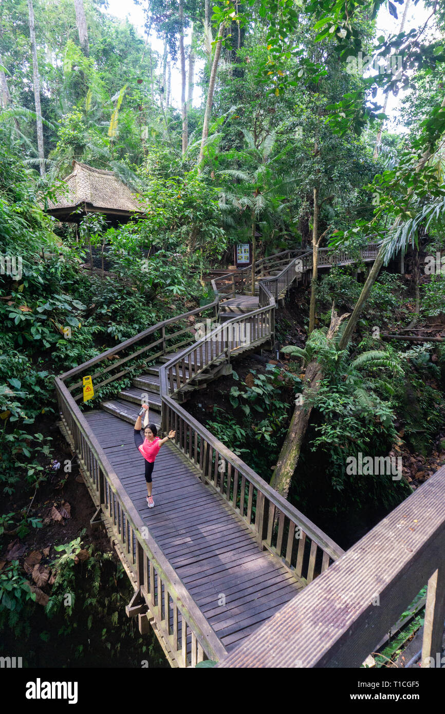 Le donne fare yoga in corrispondenza di un ponte di foresta nella foresta delle scimmie di Bali. Ottima vista, aria fresca e pulita, rendono come il cielo in terra Foto Stock