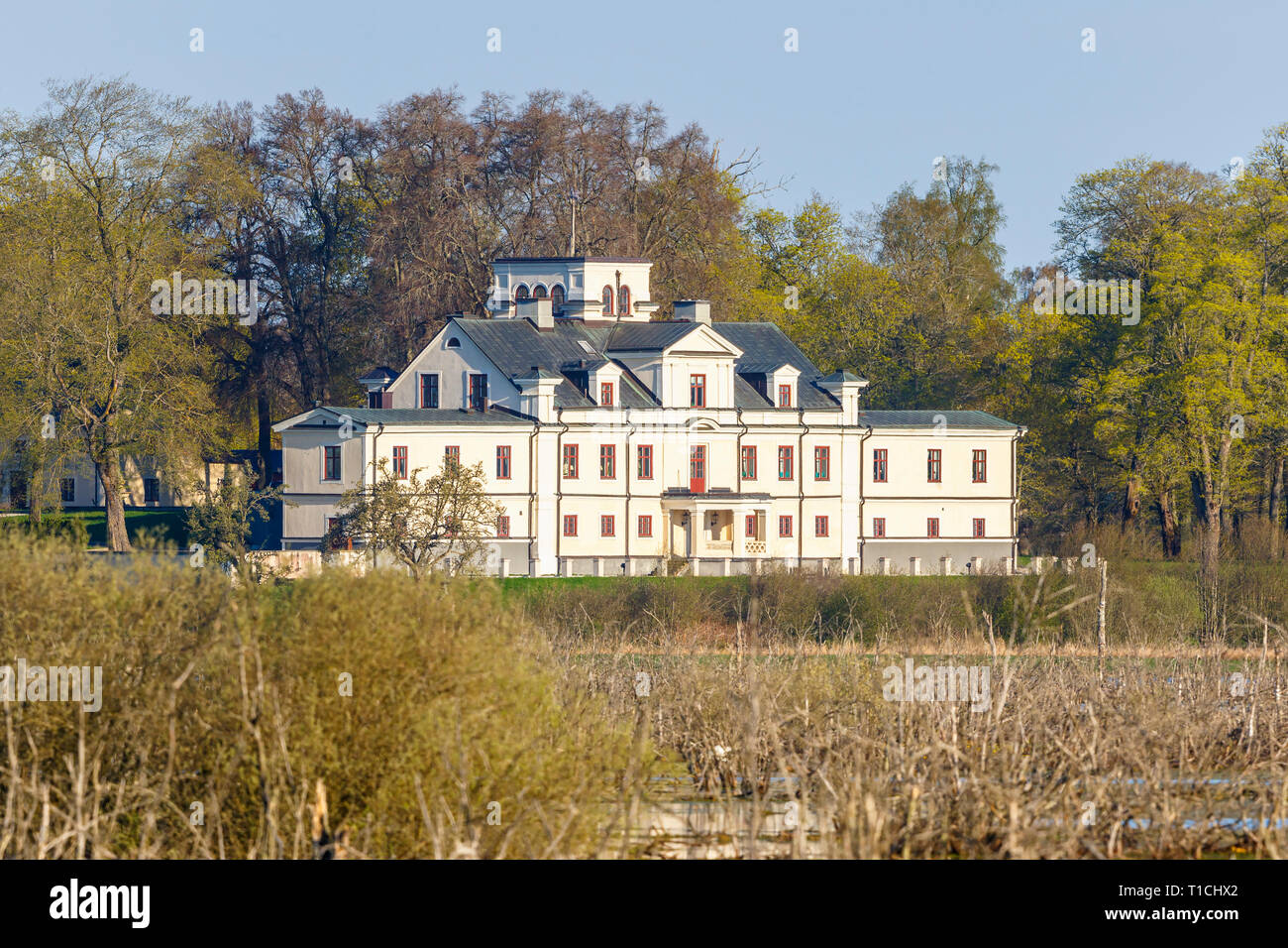 Il vecchio castello sulla riva del lago nella primavera Foto Stock