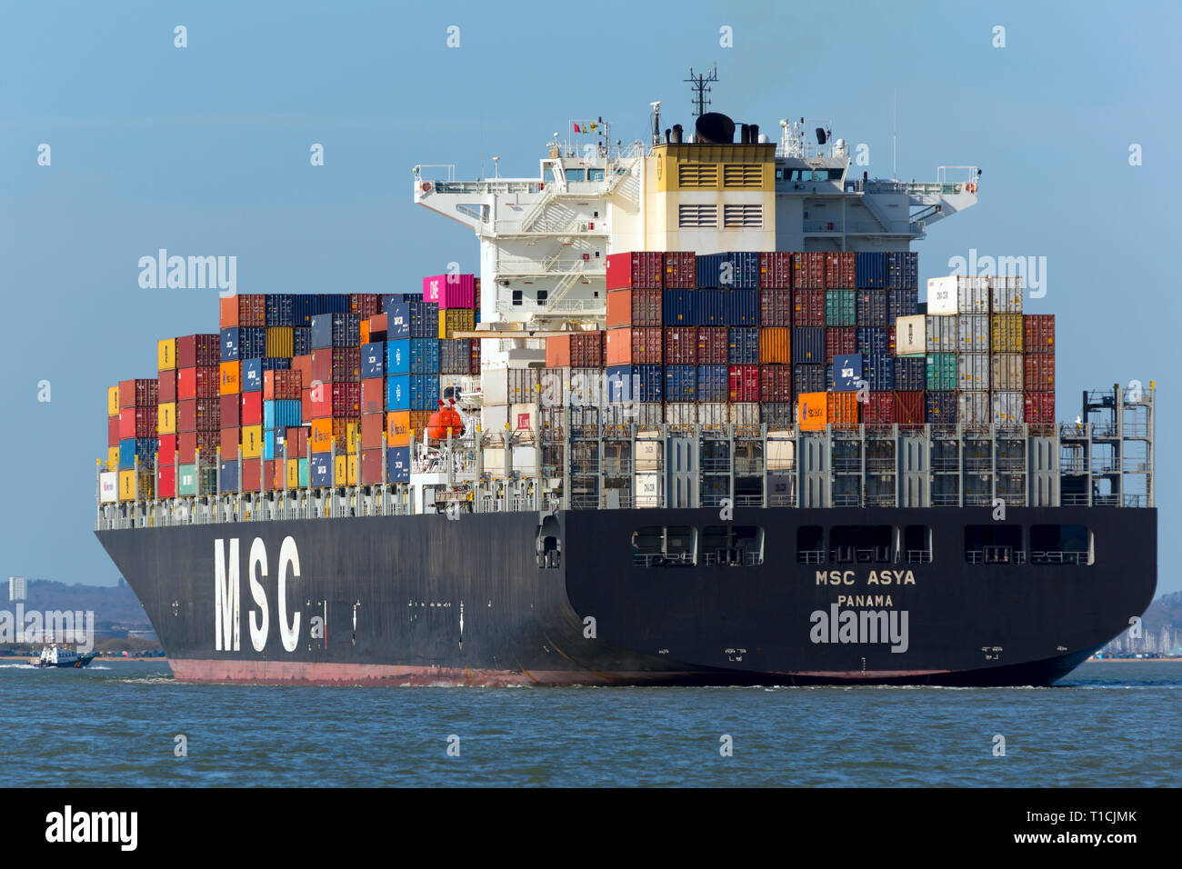 MSC,Assja,l'Solent,off,Cowes,Isle of Wight,Southampton,contenitore,nave,il terminale,Inghilterra, Regno Unito,,box Foto Stock