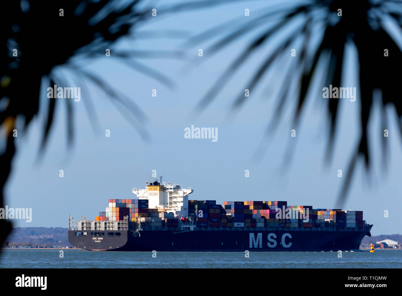 MSC,Assja,l'Solent,off,Cowes,Isle of Wight,Southampton,contenitore,nave,il terminale,Inghilterra, Regno Unito, Foto Stock