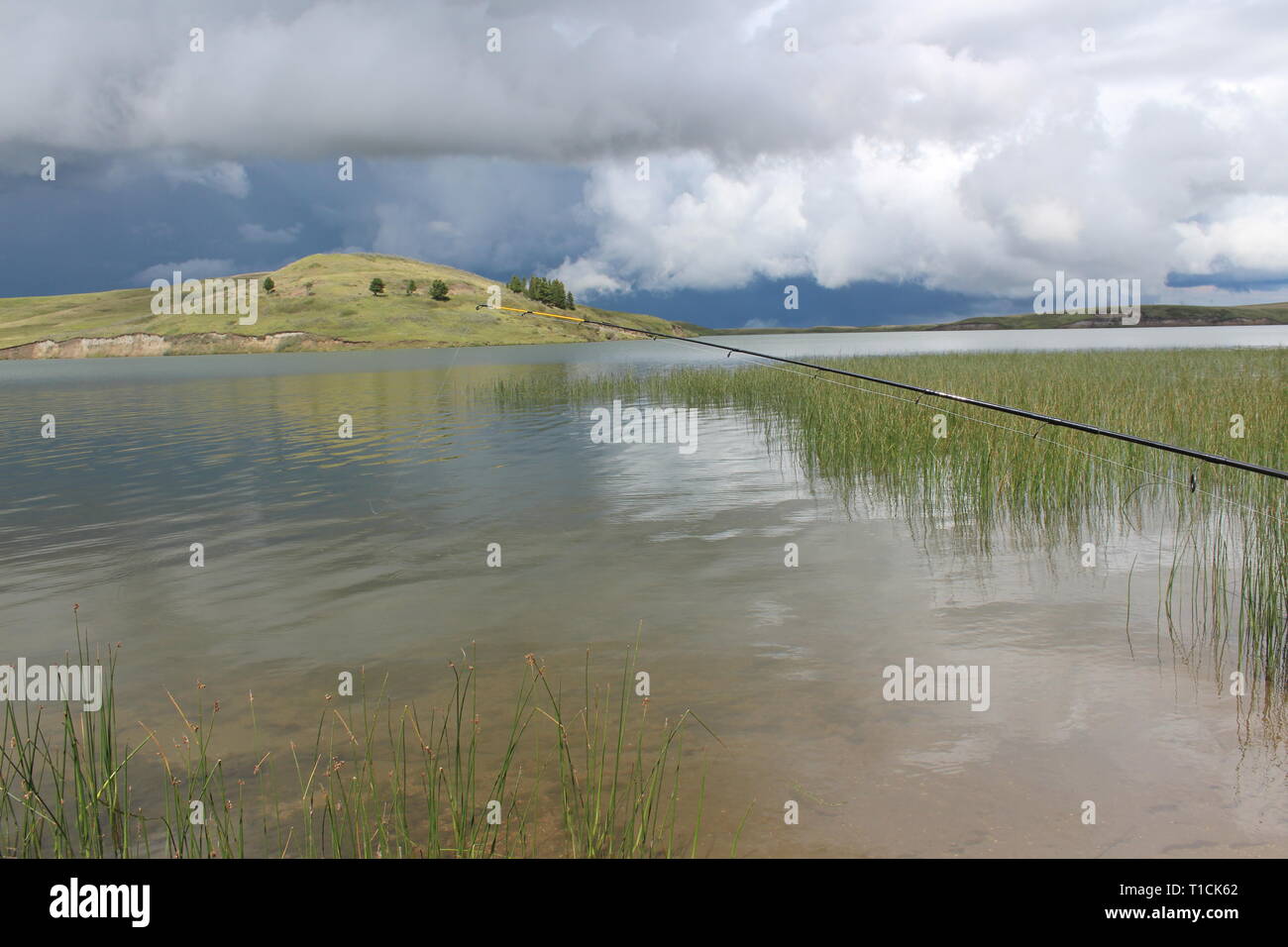 Una prateria di lago con dolci colline e nuvole di tempesta in background Foto Stock