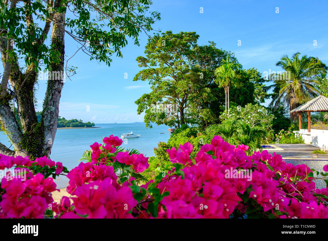 Bella estate paesaggio con fiori, alberi e vista mare con barca in acqua. Foto Stock