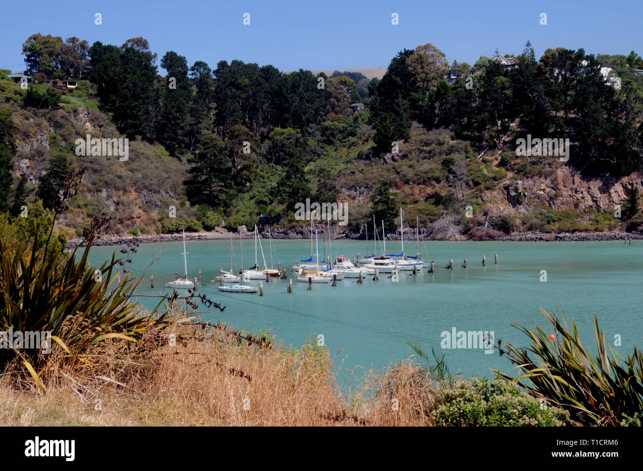 Yacht ormeggiati in porto Diamomd, un piccolo insediamento entro il pendolarismo distanza di Christchurch in Nuova Zelanda e in tutta la baia dal Lyttleton. Foto Stock