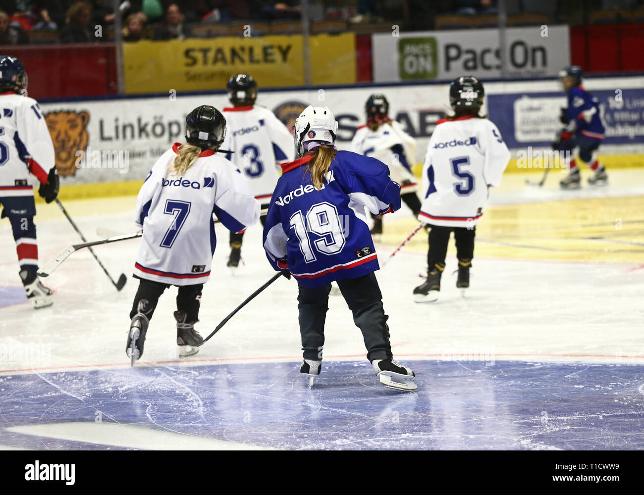 LINKÖPING 20171126 Flickhockeylag som spelar uppvisningamatch mi Saab arena. Foto Jeppe Gustafsson Foto Stock