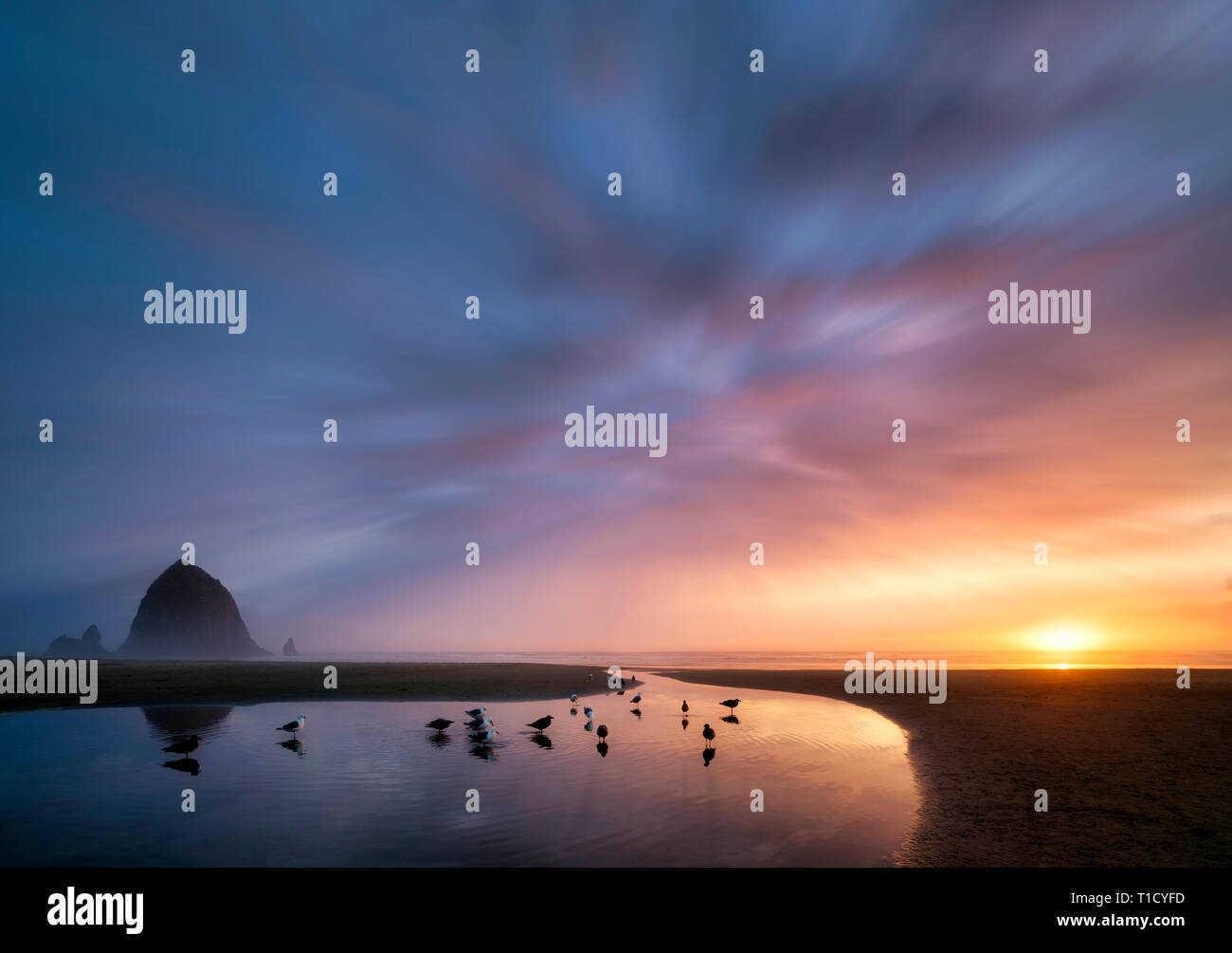 Cannon Beach al tramonto con Haystack Rock, flusso e matura con il cane. Oregon Foto Stock
