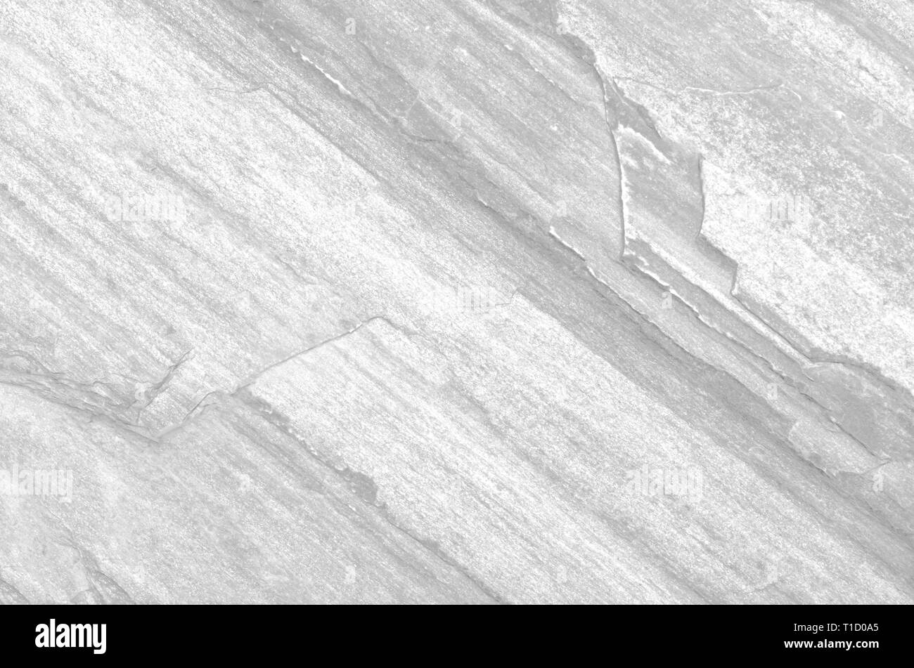 Texture di ardesia su ardesia-phyllite rocce metamorfiche trasformazione, sfondo sbiadite in bianco e nero di vera pietra ardesia pattern, crack pattern rock indietro Foto Stock