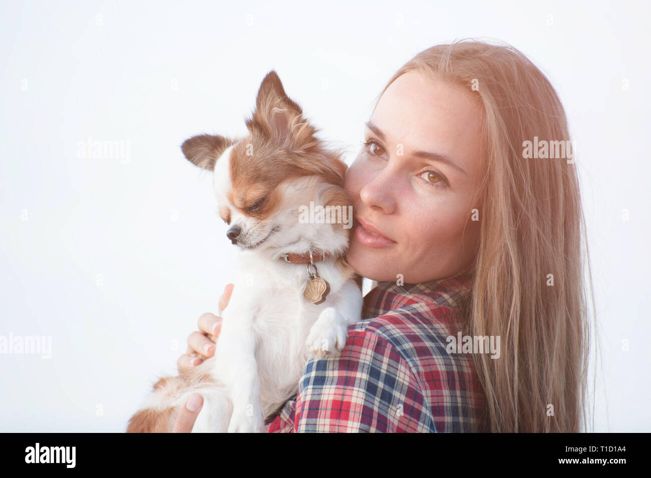 Ritratto di giovane carina ragazza con il suo piccolo chihuahua cane su sfondo lucido Foto Stock