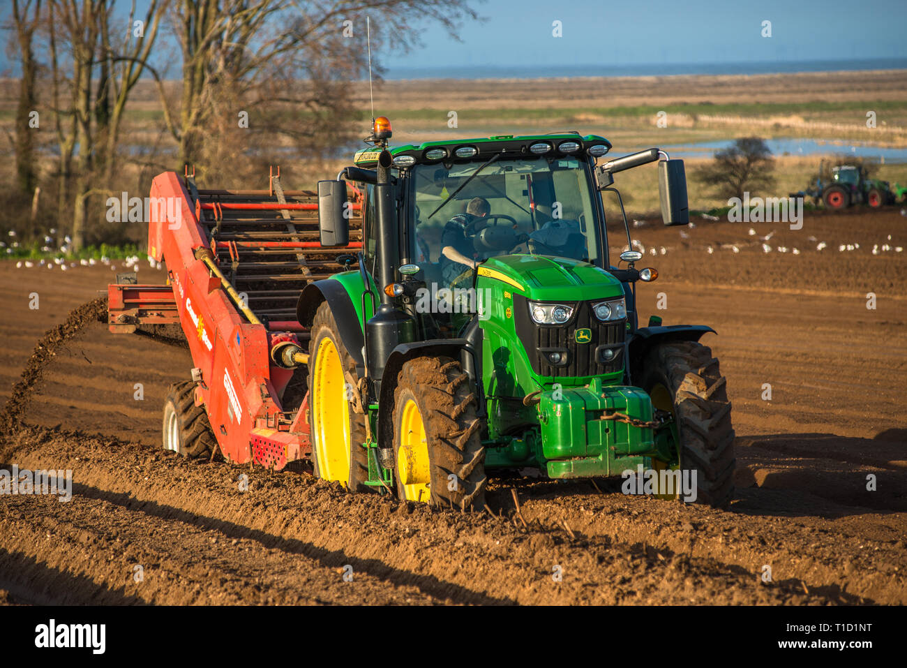 I trattori di effettuare profonde sagomatura letto seguita da semina i campi Inizio tempo di molle a Burnham Overy in North Norfolk, East Anglia, England, Regno Unito Foto Stock