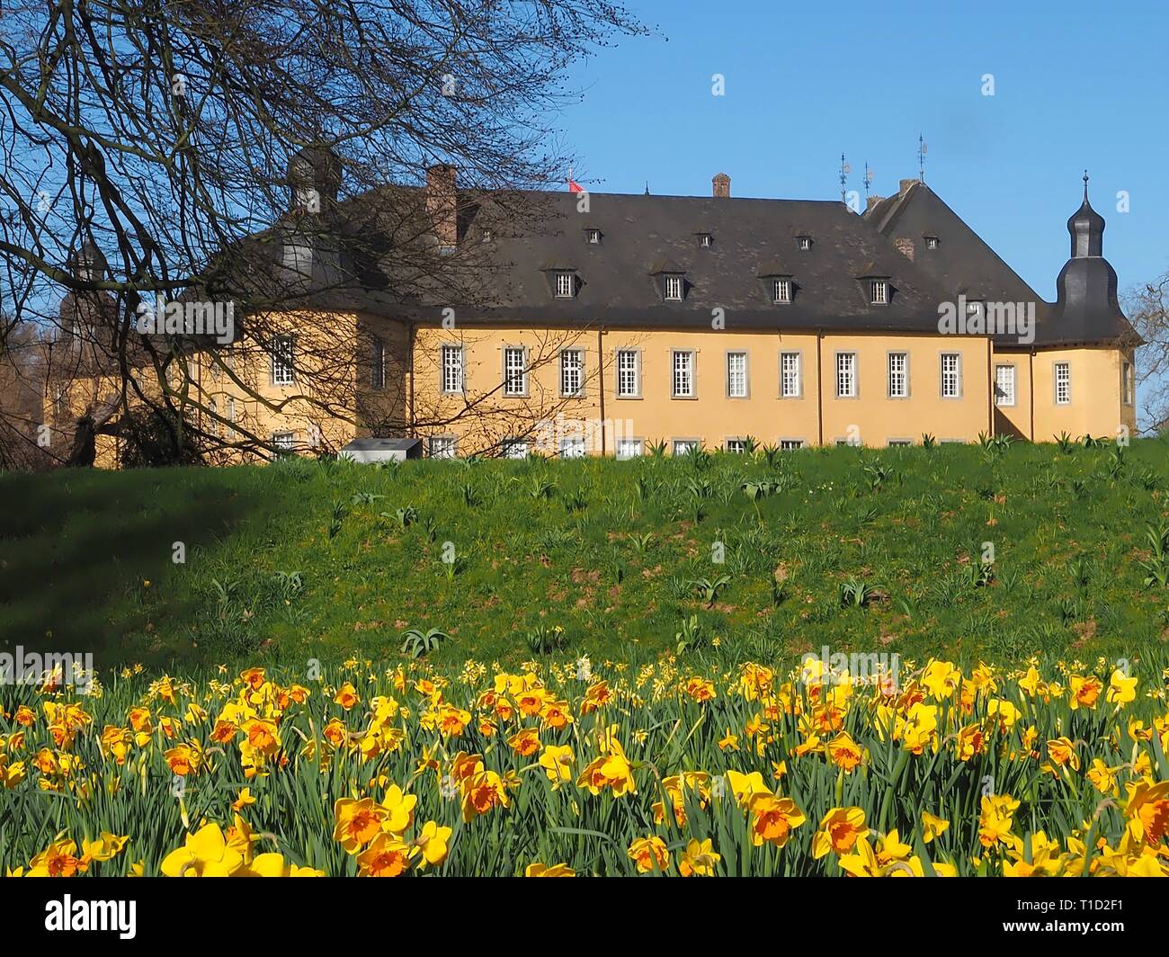Acqua tedesco castello Schloss Dyck in primavera Foto Stock