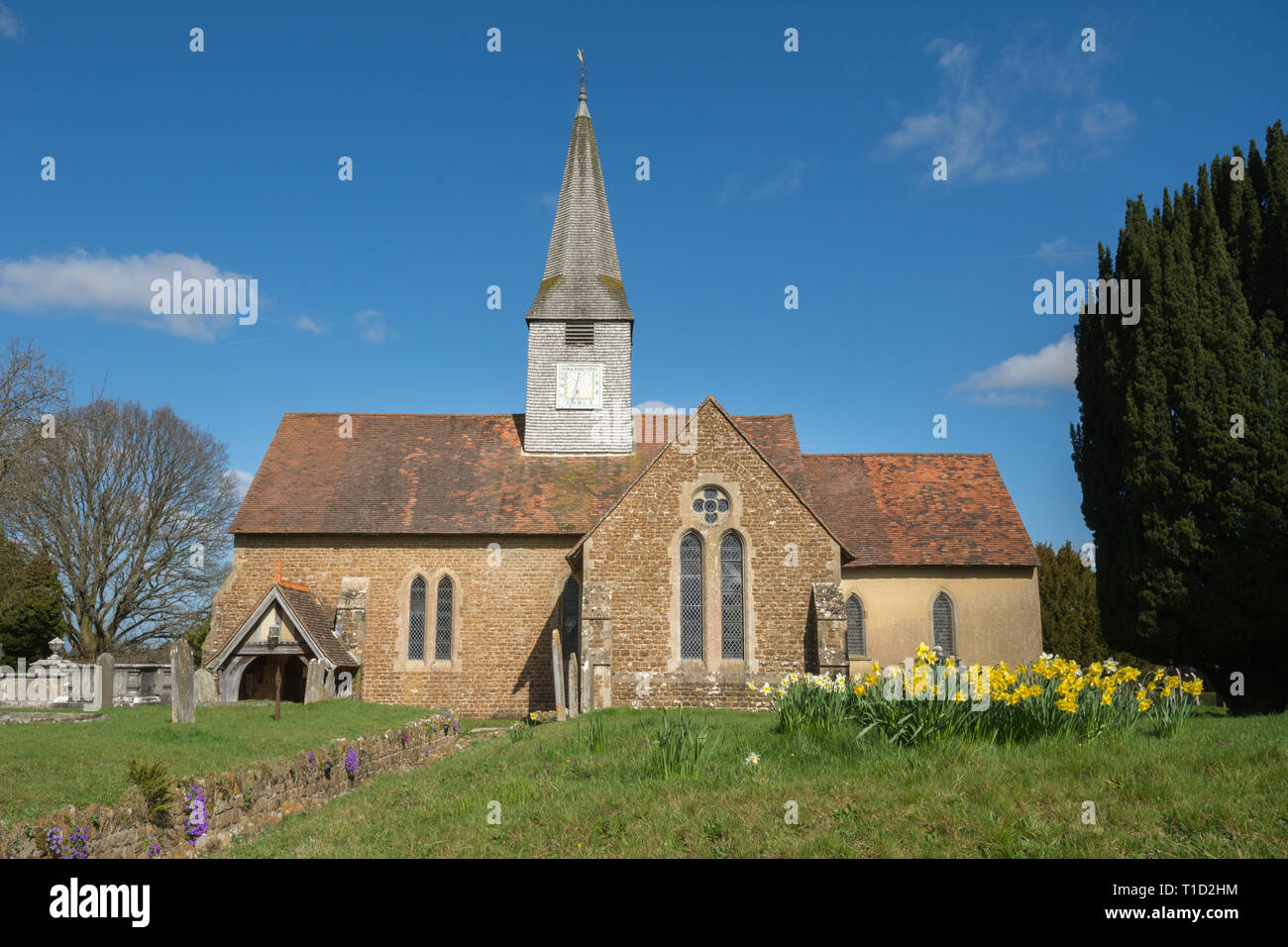San Michele e Tutti gli Angeli, la chiesa parrocchiale del villaggio di Thursley, Surrey, Regno Unito, su una soleggiata giornata di marzo, con fiori di primavera narcisi Foto Stock
