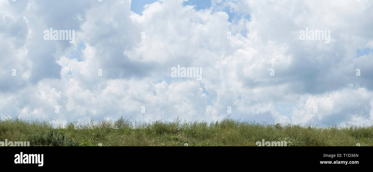Vista panoramica di Hill Crest con fiori selvaggi e Cumulus nubi Foto Stock