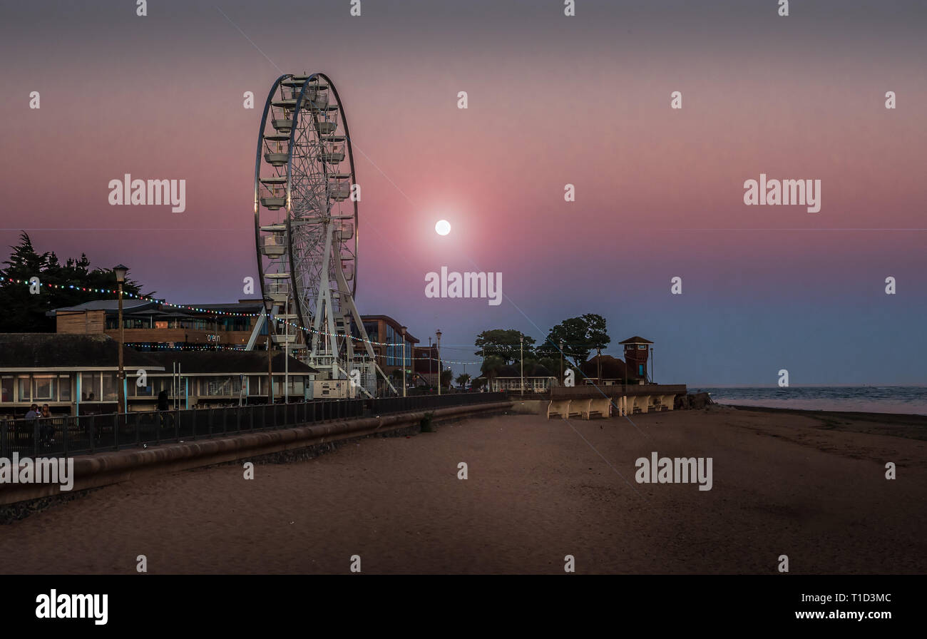 Exmouth beach a metà estate - illuminata dalla luna. Foto Stock