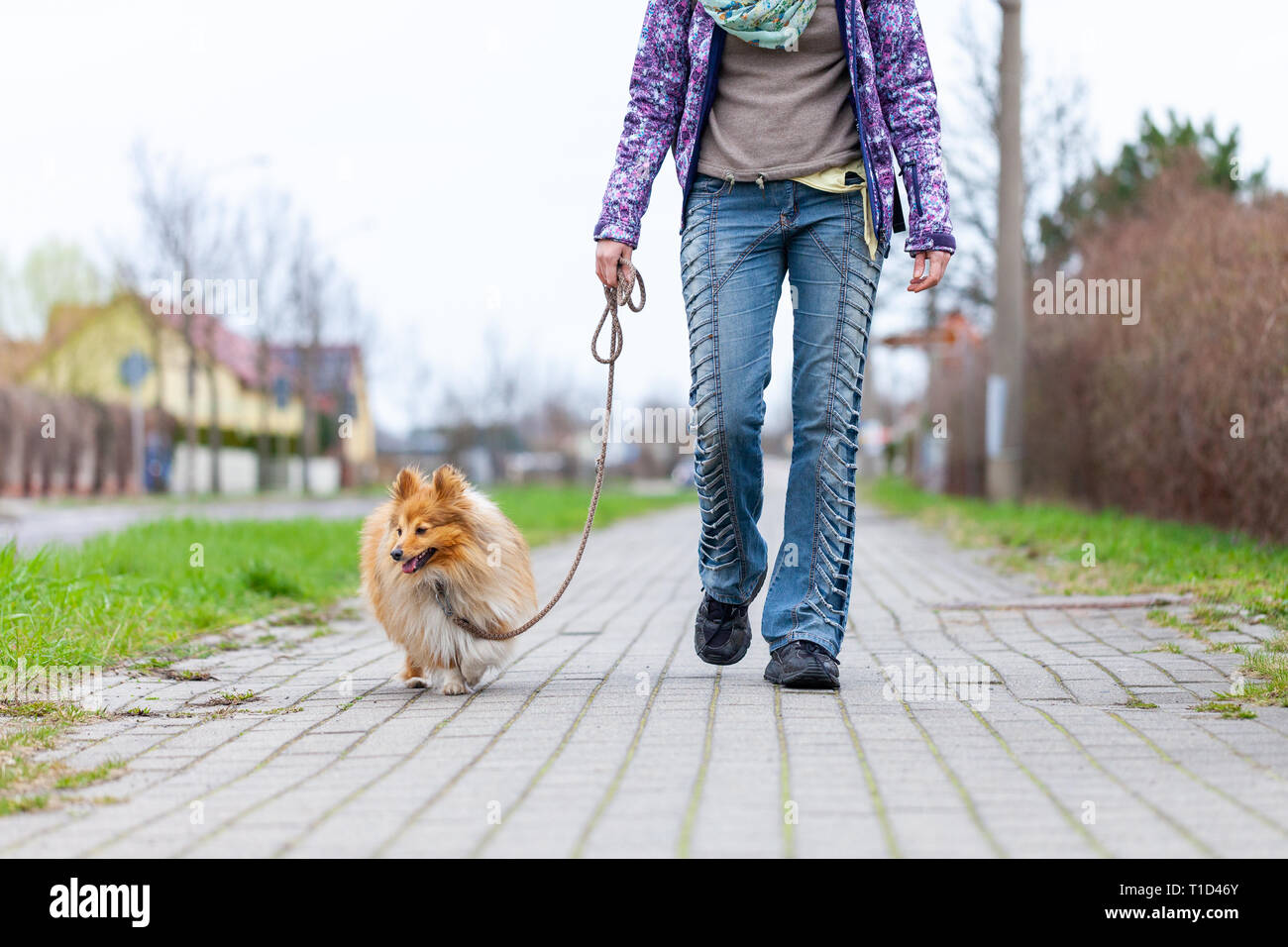 Una donna che porta il suo cane al guinzaglio Foto Stock