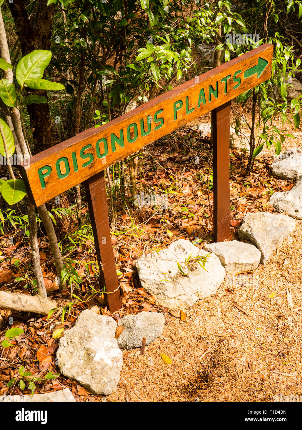 Piante velenose segno, Leon prelievo pianta nativa preservare, governatori Harbour, Eleuthera, Bahamas. Foto Stock