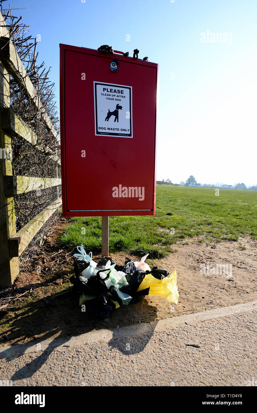 26/02/2019 vista generale di un cane pieno bidone dei rifiuti. - Foto obbligatorio dalla linea: Andy stili - Tel: 01626 872731 - Mobile: 07834214253 come20190226A-002 C Foto Stock