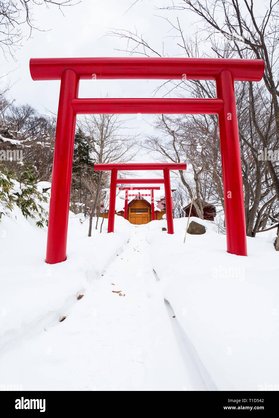 Rosso Porta Torii di Sacrario Scintoista sull'isola di Hokkaido in Giappone. Scena invernale di percorso attraverso i cancelli e neve profonda al tempio. Foto Stock
