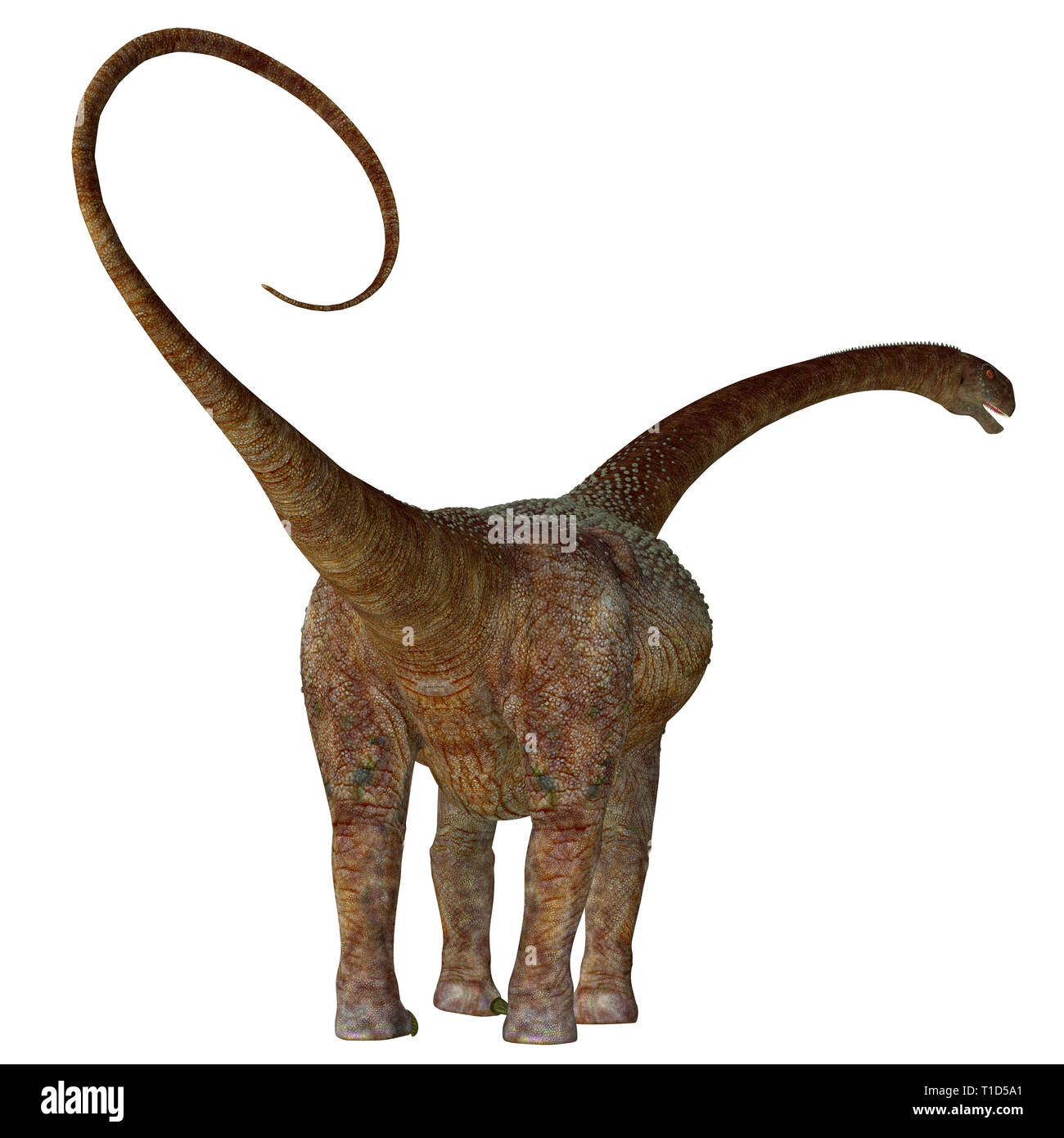 Malawisaurus era un erbivoro sauropod dinosaur che vivevano in Africa durante il Cretacico. Foto Stock