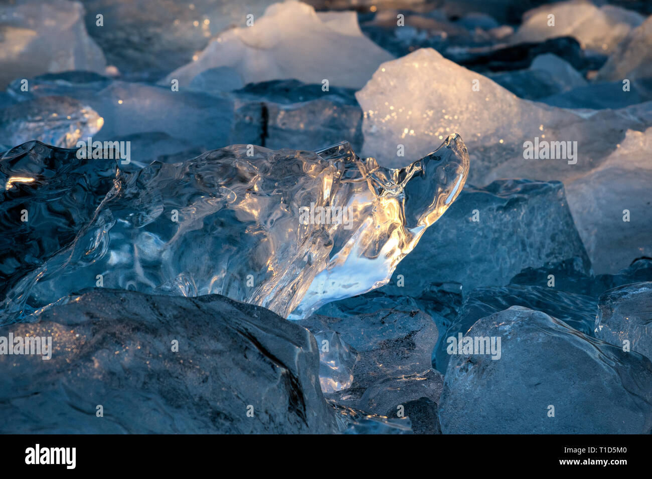 Iceberg di Jokulsarlon laguna glaciale, dietro la spiaggia di Diamante, Islanda Foto Stock