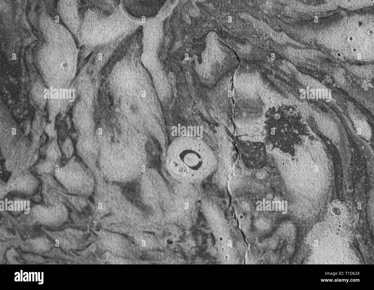 Abstract sfondo costituito dalla vernice. Close up Foto Stock