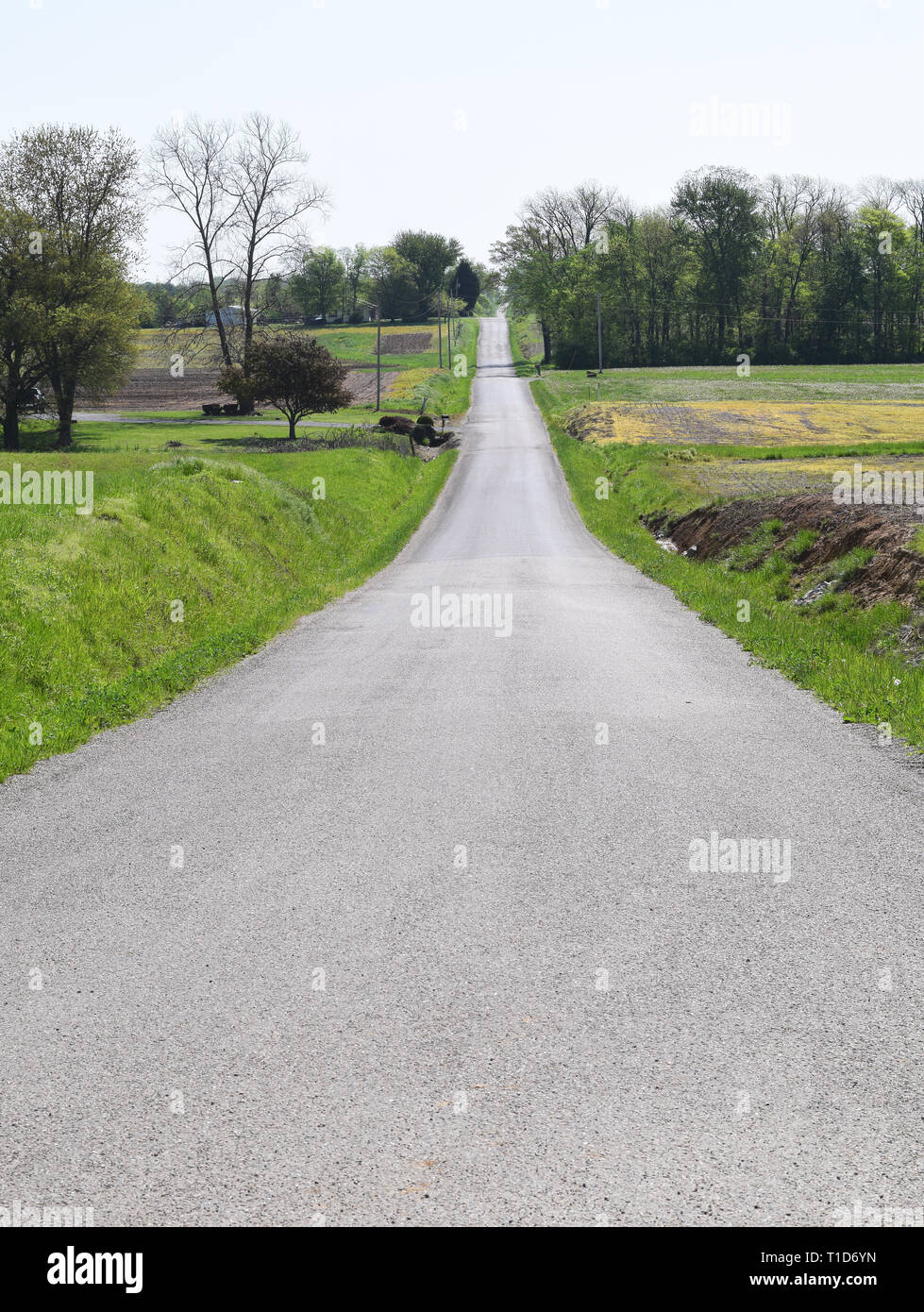 Lungo rettilineo di asfalto nelle zone rurali Illinois Foto Stock
