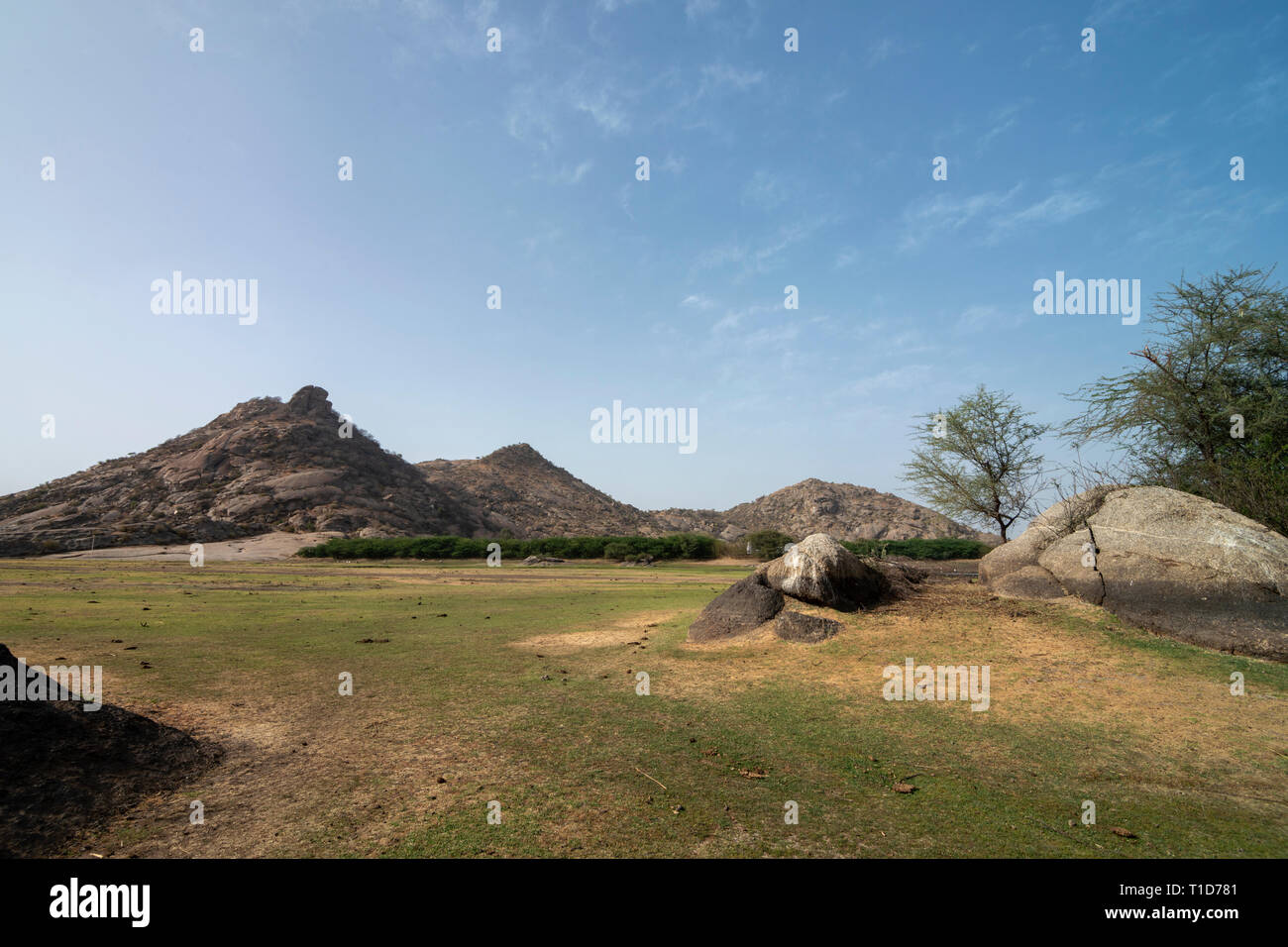 Collinette rocciose di Bera,Rajasthan,l'India Foto Stock