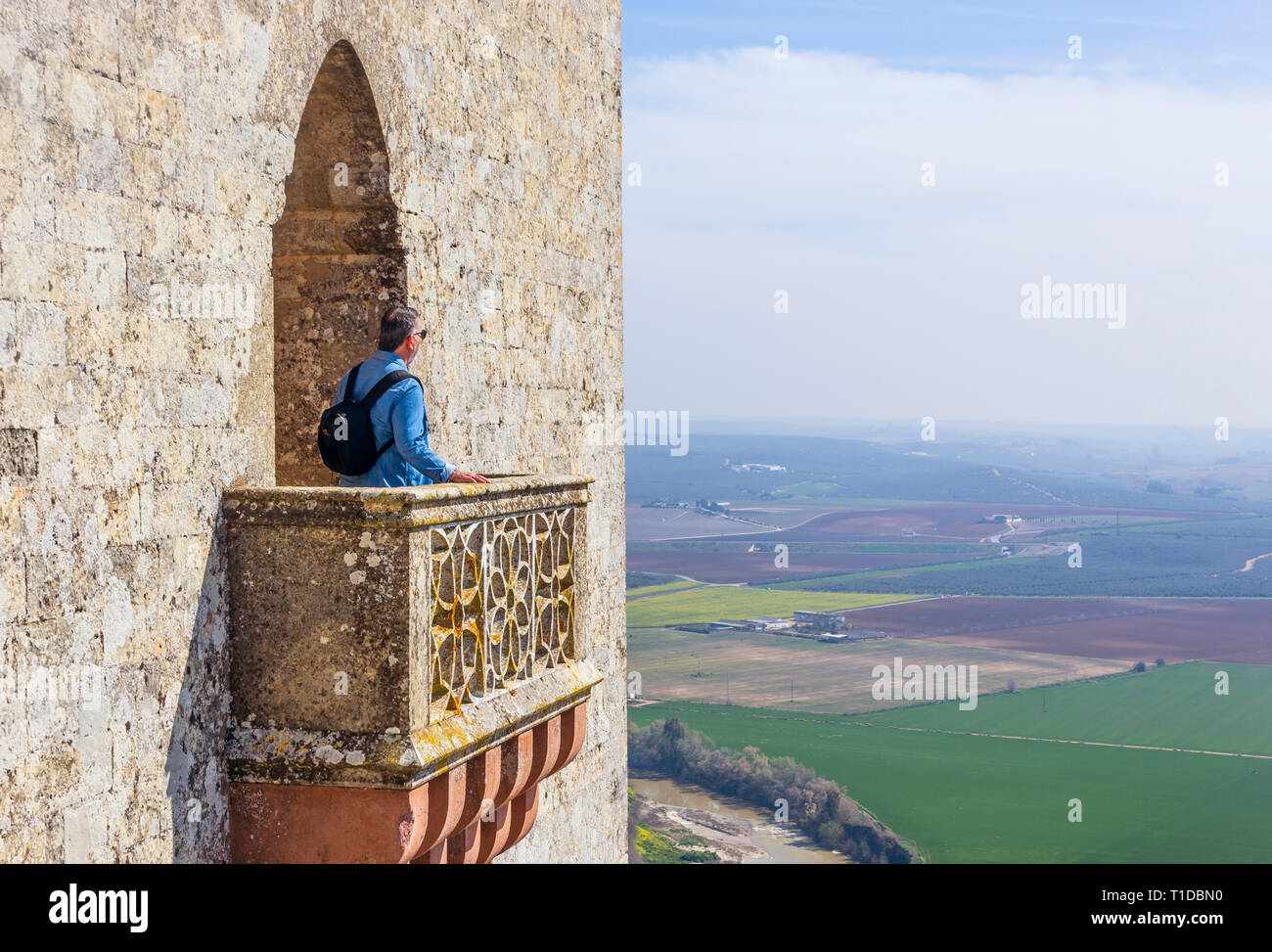 Il Castello di Almodovar del Rio, in provincia di Cordoba, Andalusia, Spagna. Questa fortezza di origine araba, apparteneva al Califato di Cordoba. Foto Stock