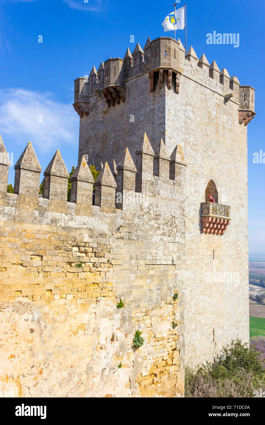 Il Castello di Almodovar del Rio, in provincia di Cordoba, Andalusia, Spagna. Questa fortezza di origine araba, apparteneva al Califato di Cordoba Foto Stock