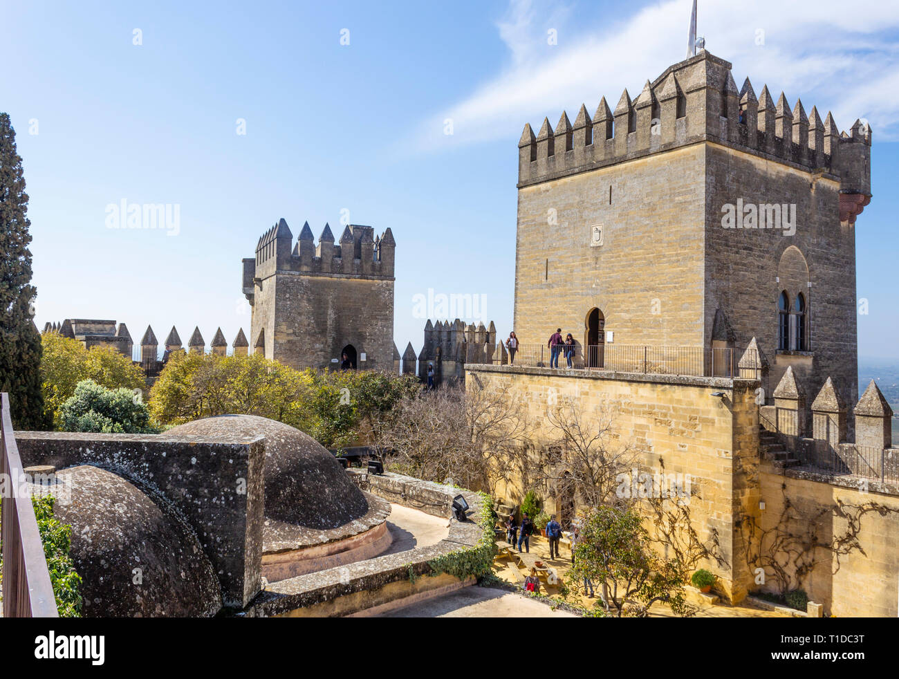 Il Castello di Almodovar del Rio, in provincia di Cordoba, Andalusia, Spagna. Questa fortezza di origine araba, apparteneva al Califato di Cordoba. Foto Stock