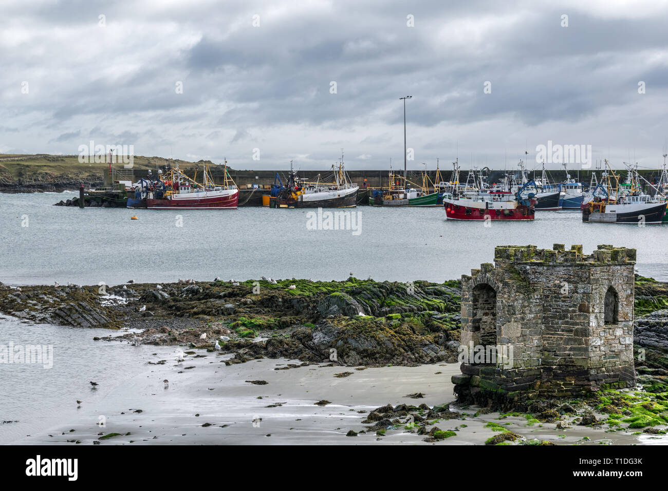 Questa è una foto di Ardglass porto nella contea di Down, Irlanda del Nord. Il vecchio stabilimento balneare in stile vittoriano è in primo piano Foto Stock