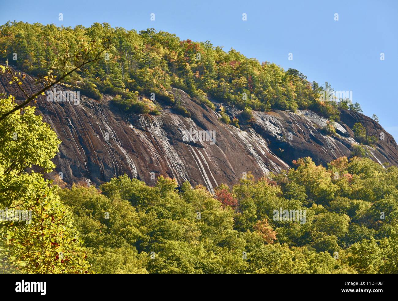 Percorsi escursionistici affioramenti rocciosi e foreste e boschi di Giovanni Rock in autunno, Pisgah National Forest, North Carolina, STATI UNITI D'AMERICA Foto Stock