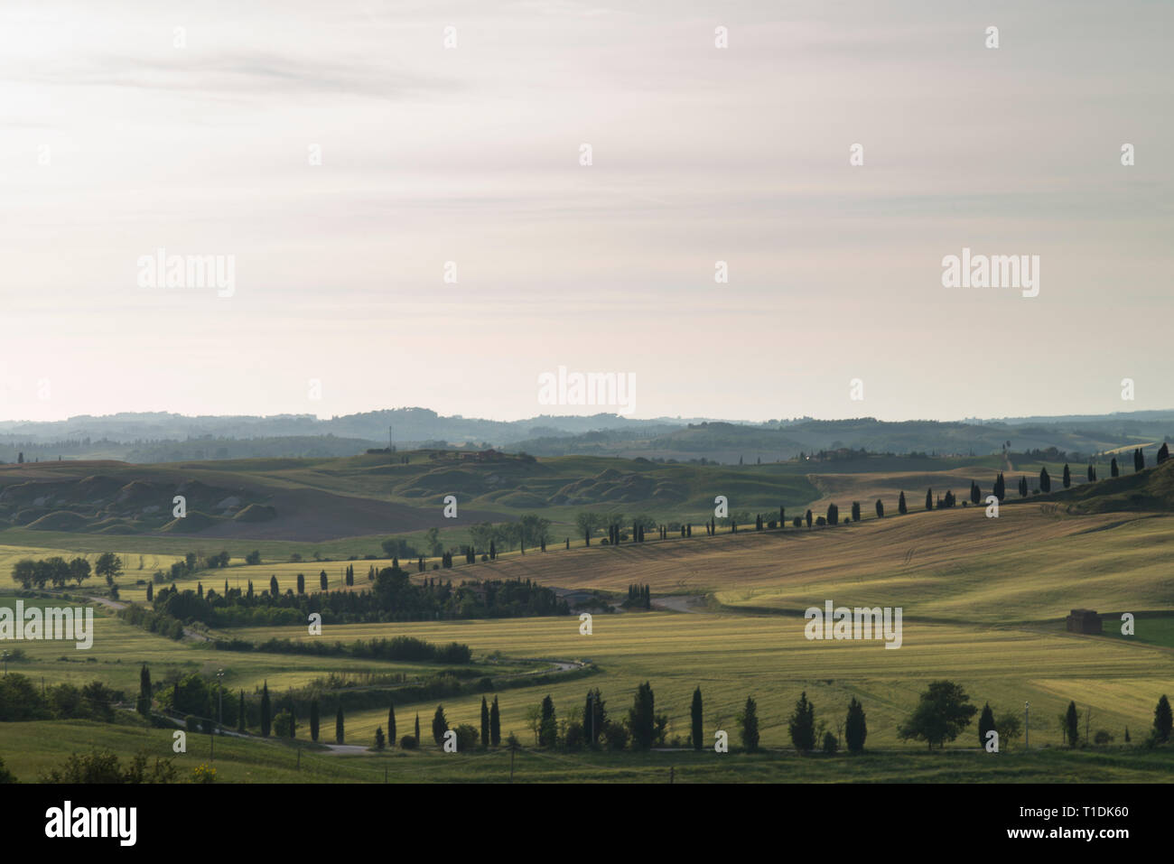 Val d'Orcia (o) Valdorcia paesaggio della Toscana al tramonto, una destinazione turistica molto popolare in Italia Foto Stock
