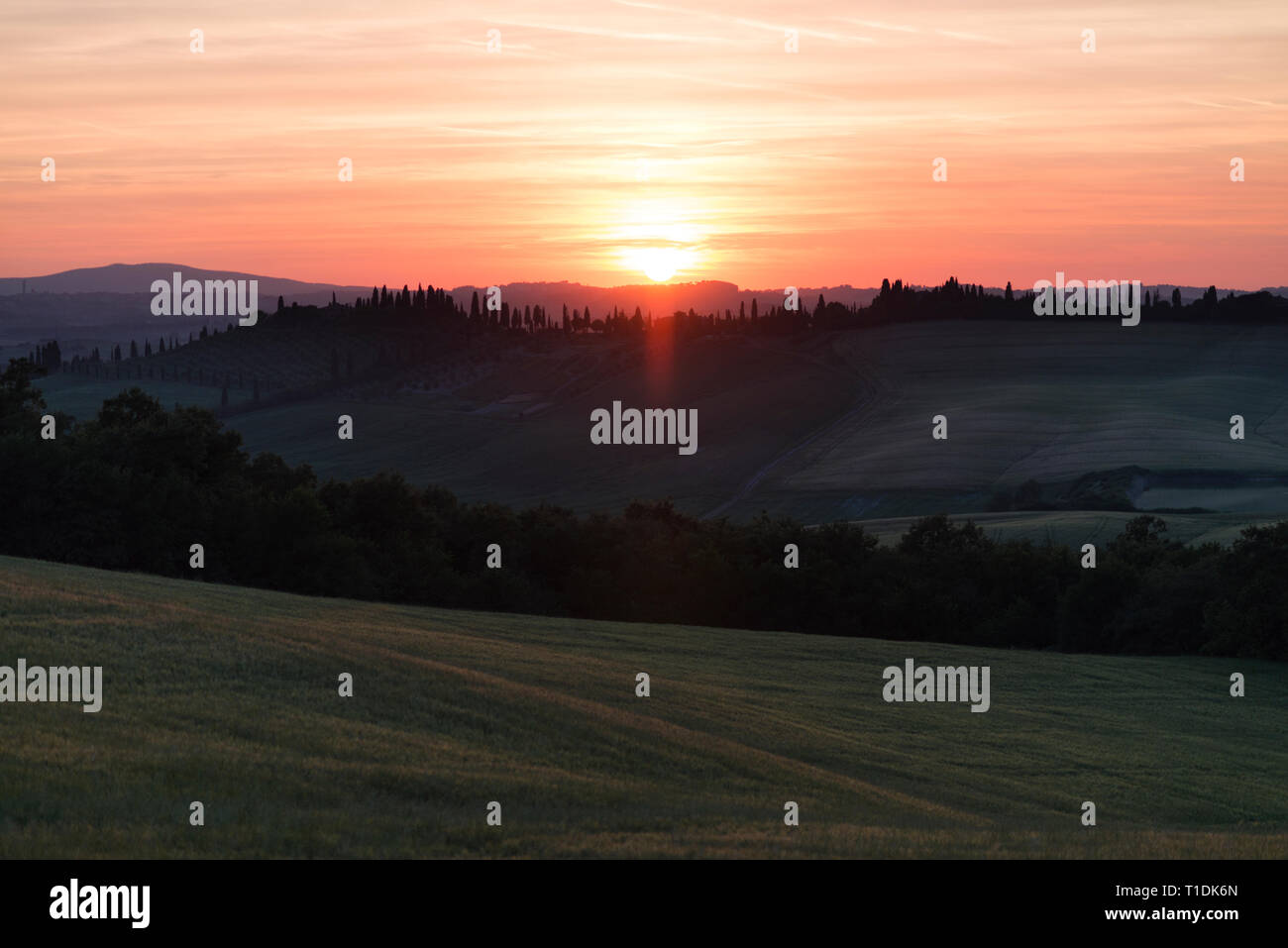 Val d'Orcia (o) Valdorcia paesaggio della Toscana al tramonto, una destinazione turistica molto popolare in Italia Foto Stock