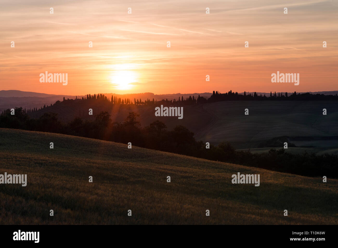 Val d'Orcia (o) Valdorcia paesaggio della Toscana al tramonto, una destinazione turistica molto popolare in Italia Foto Stock
