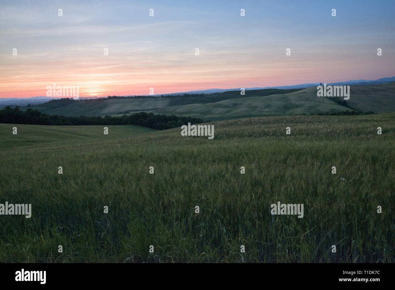 Val d'Orcia (o) Valdorcia paesaggio della Toscana al tramonto, una destinazione turistica molto popolare in Italia Foto Stock