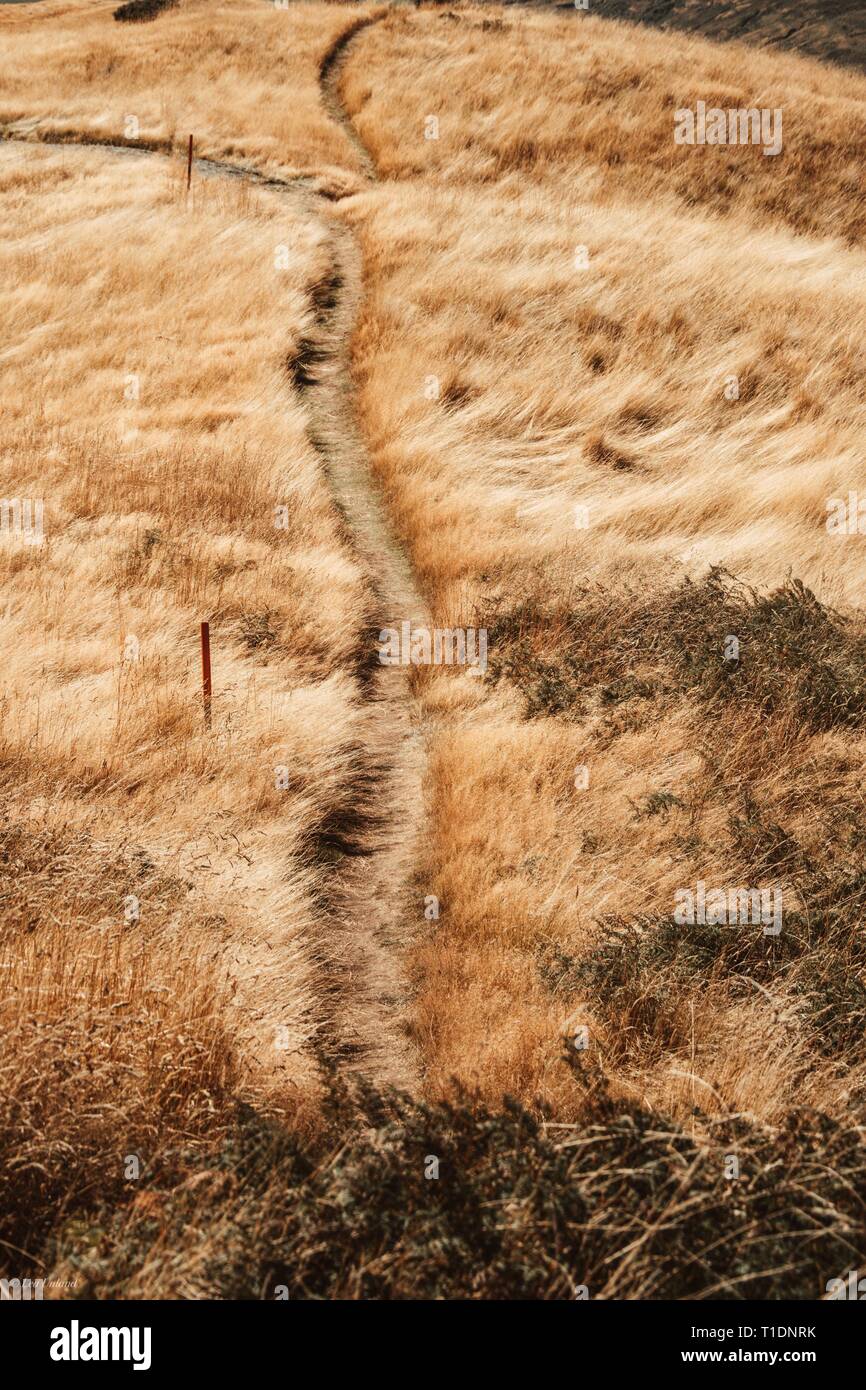 Bel sentiero sulla montagna rocciosa via, Wanaka, NZ Foto Stock