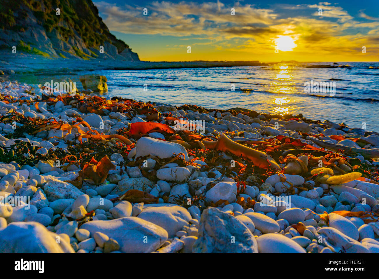 Rocky foreshore al tramonto le rocce, alghe cattura la luce colorata con il cielo al di là del mare, Foto Stock