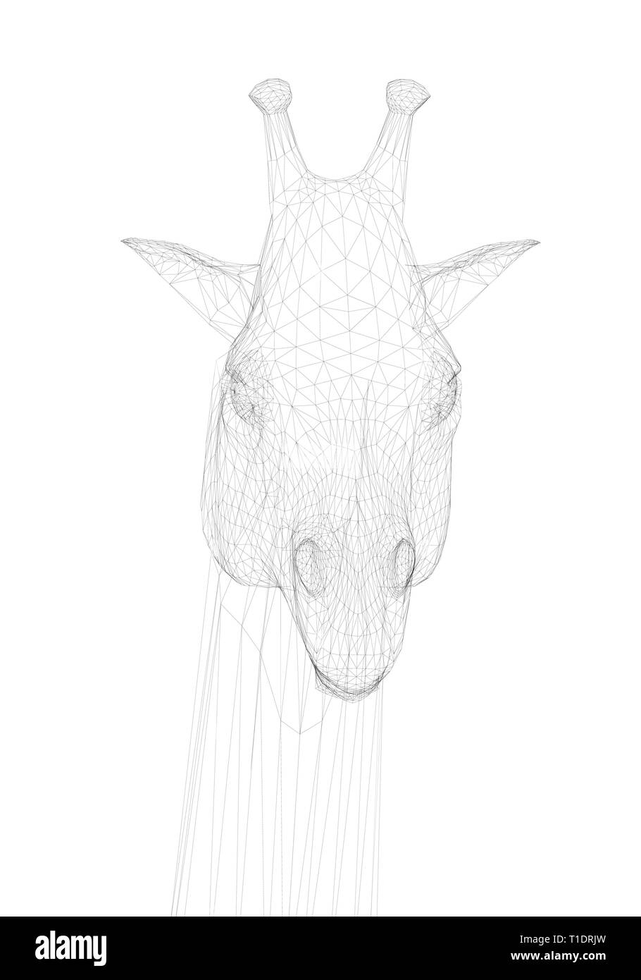 Giraffa poligonale di testa. Vista frontale. Testa di una giraffa da linee nere su uno sfondo bianco. Illustrazione Vettoriale Illustrazione Vettoriale