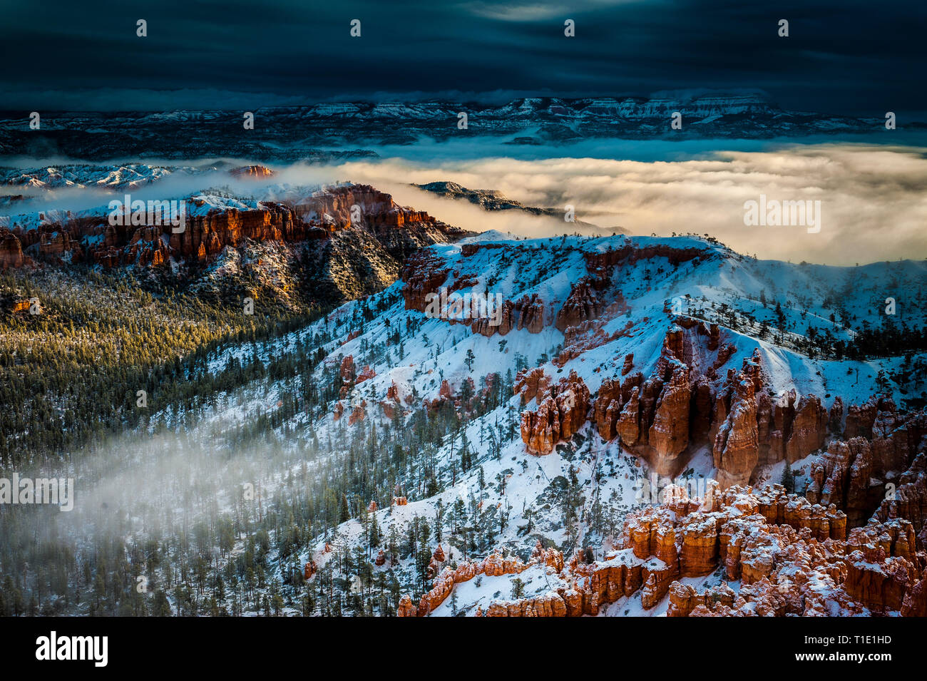 Una rara ed epic inverno inversione di cloud in pozzi di anfiteatro al Parco Nazionale di Bryce Canyon. Foto Stock