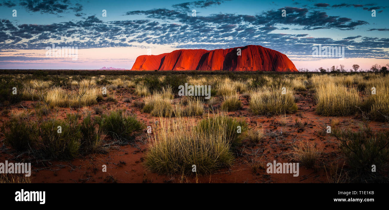 Sunrise bruciare un profondo bagliore arancione su iconico Uluru / Ayre's rock. Foto Stock